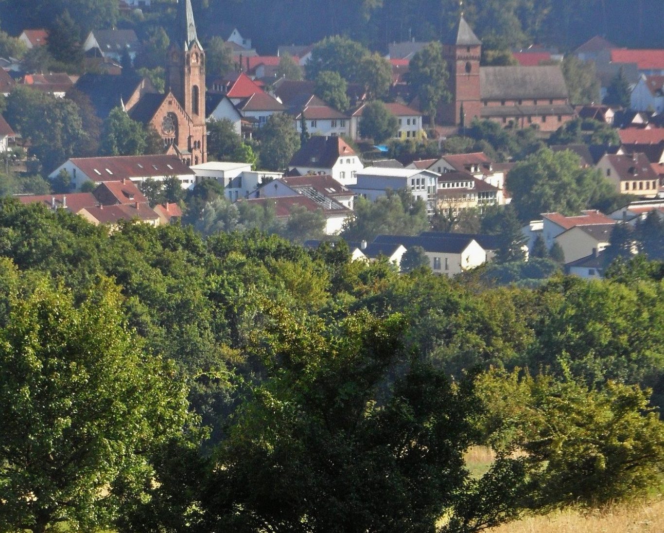 Haushaltsauflösung in Weilerbach – schnelle und diskrete Räumung mit Festpreisgarantie